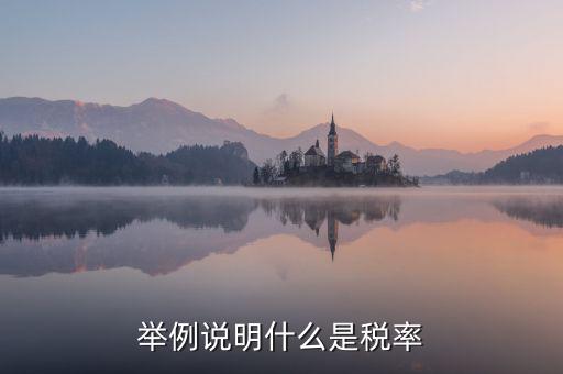 稅率說(shuō)明是什么意思，稅率是什么意思