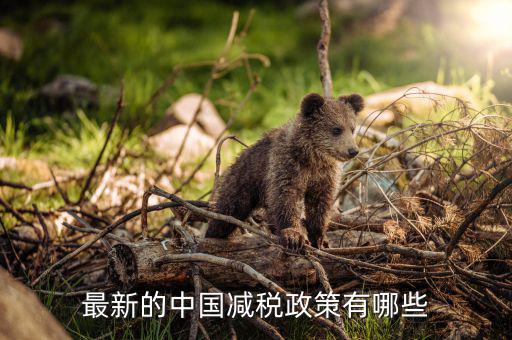 各國(guó)減稅結(jié)果會(huì)是什么，最新的中國(guó)減稅政策有哪些