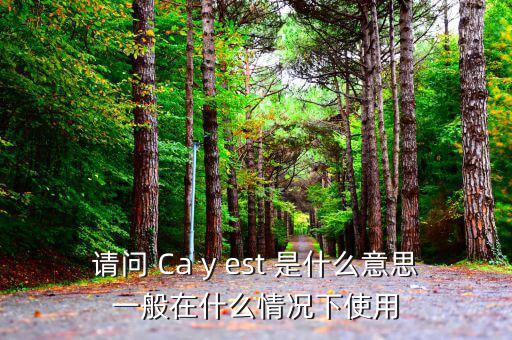 ca棒有什么作用是什么意思，CA的全稱是什么它的具體作用是什么