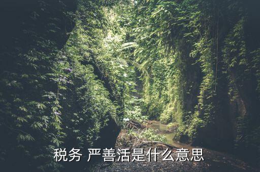 中國(guó)稅務(wù)精神是什么意思，稅務(wù)是什么意思啊學(xué)什么內(nèi)容