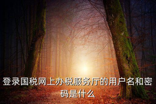 稅務(wù)登陸密碼是什么意思，國稅第一次網(wǎng)上申報的登陸密碼是什么