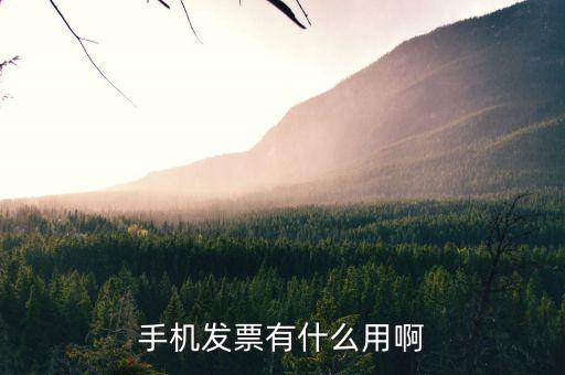 發(fā)票小助手有什么用，微信發(fā)票小助手小程序怎么用