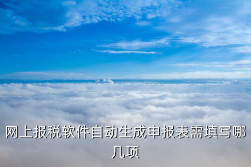 網(wǎng)上申報系統(tǒng)需要什么資料，網(wǎng)上報稅軟件自動生成申報表需填寫哪幾項