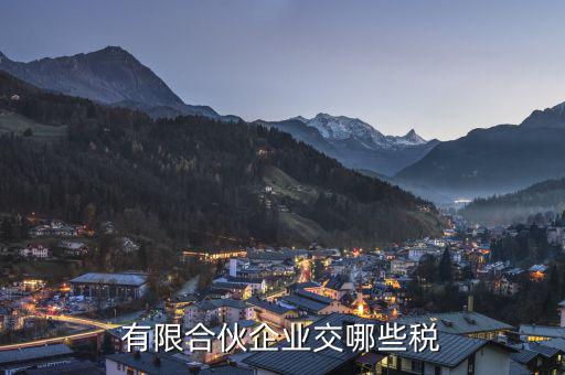 有限合伙交的是什么稅，有限合伙企業(yè) 國稅地稅 繳納哪些稅費
