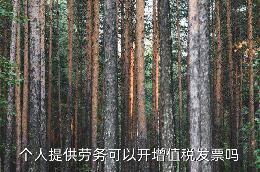 什么是個人勞務(wù)發(fā)票嗎，個人開工程勞務(wù)費(fèi)發(fā)票是在工程所在地開具嗎