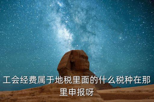 工會活動費(fèi)中稅是什么，工會經(jīng)費(fèi)屬于地稅里面的什么稅種在那里申報呀