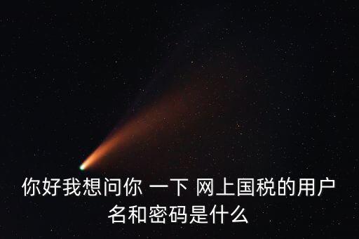 國稅的登錄密碼是什么意思，國稅第一次網(wǎng)上申報的登陸密碼是什么