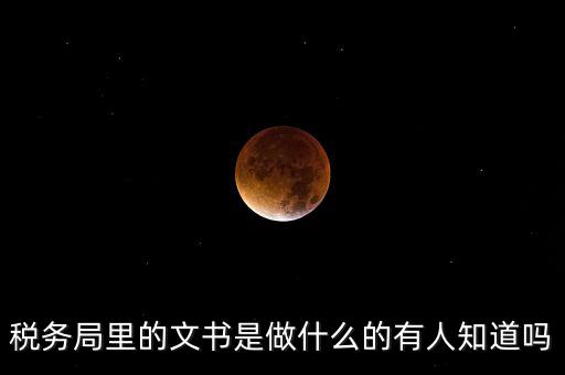 稅務(wù)文書是什么，急需稅務(wù)文書格式