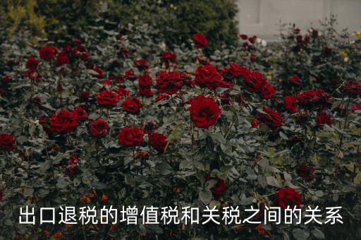 出口關(guān)稅和什么有關(guān)系，出口退稅與進(jìn)口增值稅有什么關(guān)系