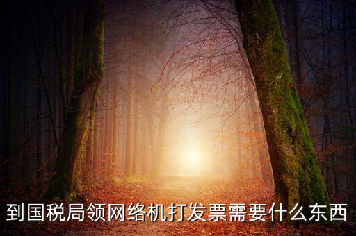 到國稅局領網絡機打發(fā)票需要什么東西