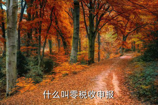 什么是地稅0申報，稅務(wù)零申報是指什么如何零申報