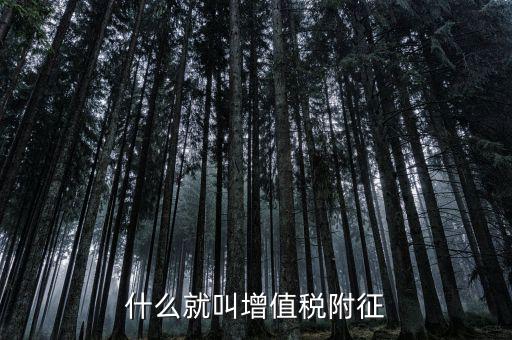 什么是增值稅及附加稅，什么就叫增值稅附征