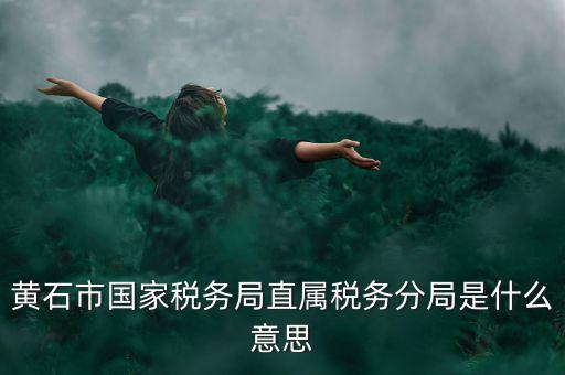 國(guó)稅直屬分局是什么局，國(guó)稅局是什么單位