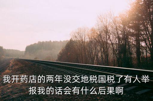 國稅舉報有什么后果，我開藥店的兩年沒交地稅國稅了有人舉報我的話會有什么后果啊