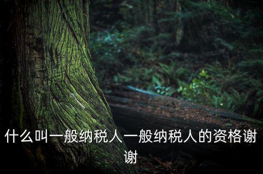 什么是一般納稅人資格證嗎，什么叫一般納稅人一般納稅人的資格謝謝