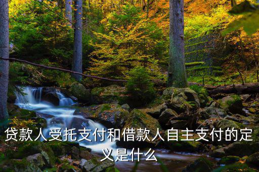 自主支出是什么，自主支出是什么意思求解釋