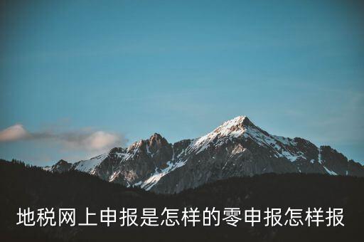 地稅網上申報是怎樣的零申報怎樣報