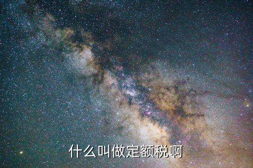 定額定稅是什么意思，什么叫做定額稅啊