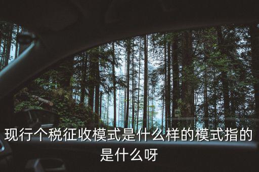 個人征稅系統(tǒng)是什么，你好補交個稅在稅局系統(tǒng)怎樣操作