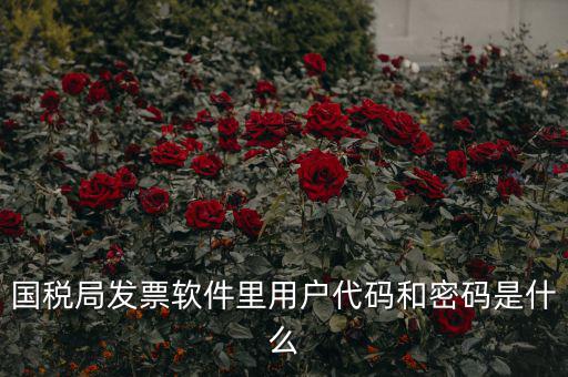 國(guó)稅局發(fā)票軟件里用戶(hù)代碼和密碼是什么