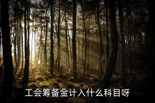 什么是工會(huì)籌備金，工會(huì)籌備金計(jì)入什么科目呀
