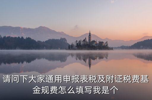 通用申報(bào)基金規(guī)費(fèi)包括什么，請問下大家通用申報(bào)表稅及附證稅費(fèi)基金規(guī)費(fèi)怎么填寫我是個