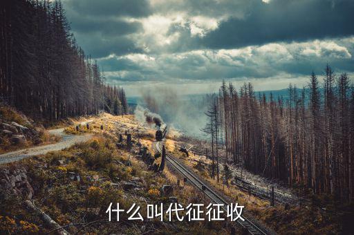 什么叫代征規(guī)費，什么是規(guī)費