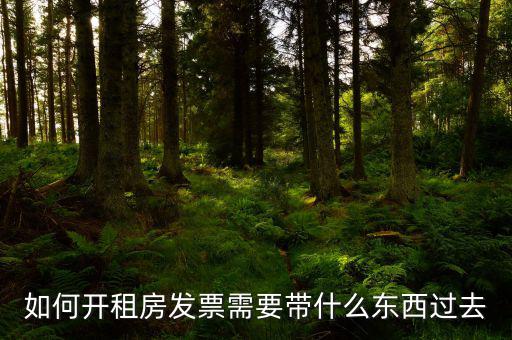 如何開租房發(fā)票需要帶什么東西過去