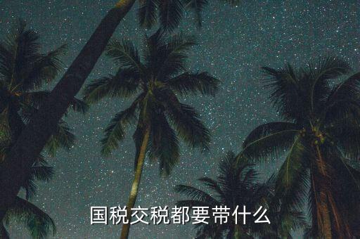 國(guó)稅錄指紋需要帶什么，國(guó)稅交稅都要帶什么