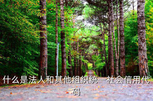 機關有社會信用代碼是什么意思，社會信用代碼與機構信用代碼有什么不同