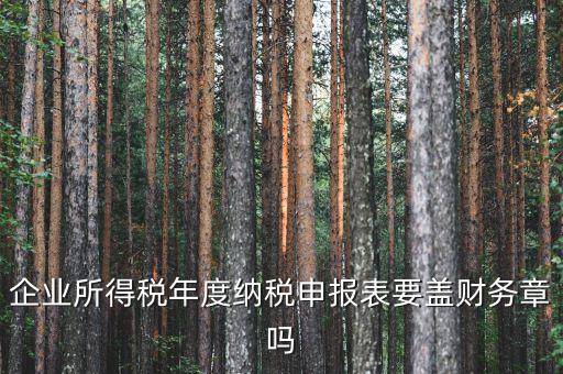 所得稅年報(bào)要蓋什么章，企業(yè)所得稅年度納稅申報(bào)表要蓋財(cái)務(wù)章嗎
