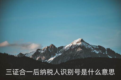 三證合一稅務(wù)識別號是什么意思，三證合一后納稅人識別號是什么意思