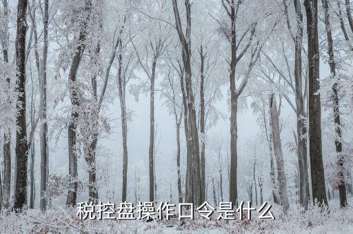 金稅盤開票密碼口令是什么意思，金稅盤清零后重新領取了發(fā)票開票口令是什么
