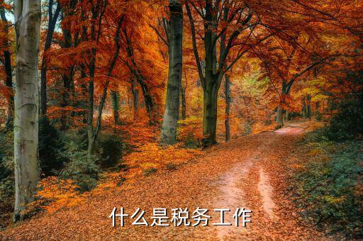 什么是稅務(wù)人員，稅務(wù)專員是一種什么工作和會計有什么不同和會計一樣也分從