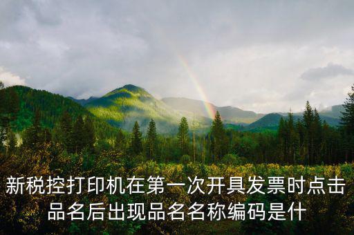 發(fā)票 商品編碼是什么，發(fā)票號碼和發(fā)票代碼是什么我的發(fā)票上只有單據(jù)編碼和貨品編號啊