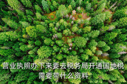 有了營業(yè)執(zhí)照要帶什么去辦稅，拿到營業(yè)執(zhí)照銀行開戶后去辦稅帶什么證件