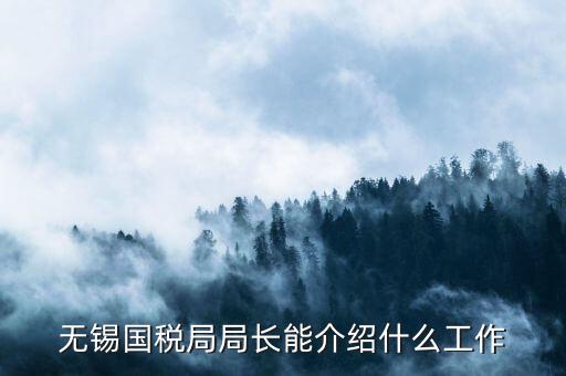 無錫地稅局長接待日是什么，無錫國稅局局長能介紹什么工作