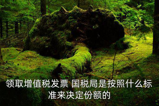 領增值稅票有什么要求，對新開戶一般納稅人領購增值稅專用發(fā)票有什么要求