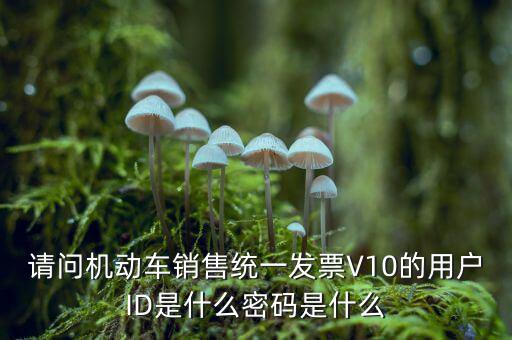 發(fā)票登錄密碼是什么，國稅局發(fā)票軟件里用戶代碼和密碼是什么