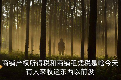 什么叫店面租憑稅，商鋪產(chǎn)權(quán)所得稅和商鋪租憑稅是啥今天有人來收這東西以前沒