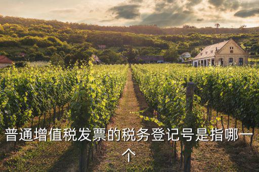 什么是增值稅登記號碼，增值稅登記號