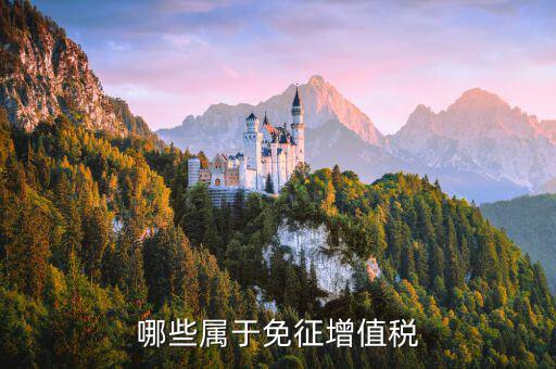 銷(xiāo)售什么可以免稅，哪些屬于免征增值稅