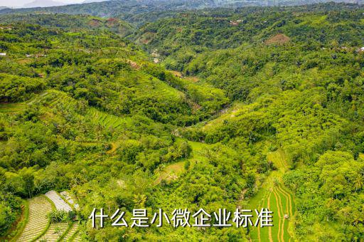 小型微利企業(yè)標(biāo)準(zhǔn)是什么，微小型企業(yè)的標(biāo)準(zhǔn)是什么
