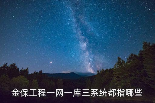 什么是金三系統(tǒng)，會(huì)計(jì)證外借給公司掛靠什么也沒(méi)做就被金三系統(tǒng)監(jiān)控了