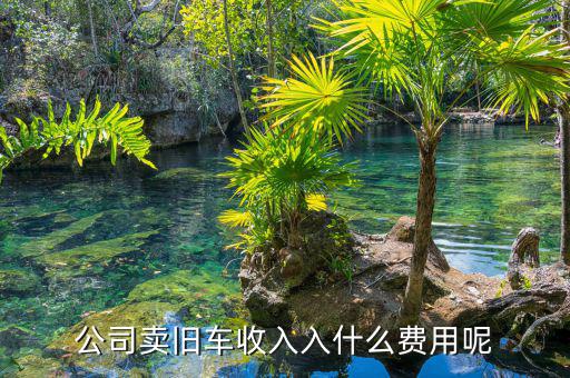 公司賣出二手車入賬要什么，求助我們公司才賣掉一輛車收的現(xiàn)金請問摘要填寫什么用幾號