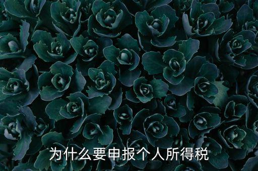 為什么要申報納稅，為什么公司老是要申報稅