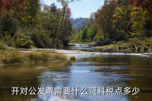 對(duì)公開(kāi)票需要什么信息，公對(duì)公開(kāi)發(fā)票 需要對(duì)方什么信息
