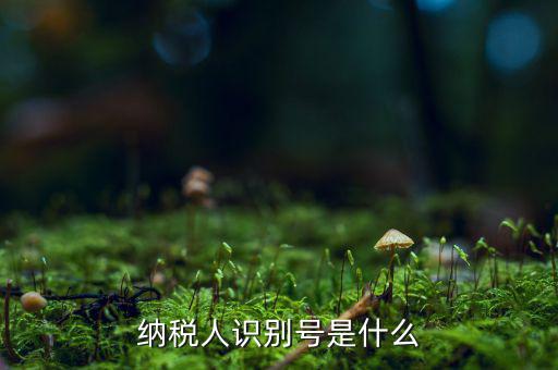 納稅人的識(shí)別號(hào)是什么，納稅人識(shí)別號(hào)是什么