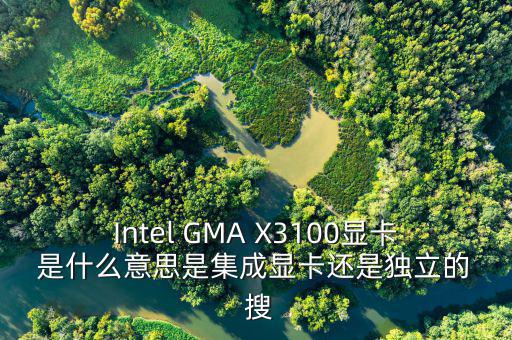 國稅集成理念是什么意思，Intel GMA X3100顯卡 是什么意思是集成顯卡還是獨立的  搜