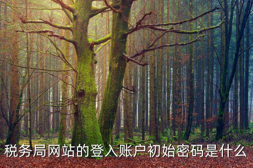 浙江國稅登入密碼是什么，稅務局網(wǎng)站的登入賬戶初始密碼是什么